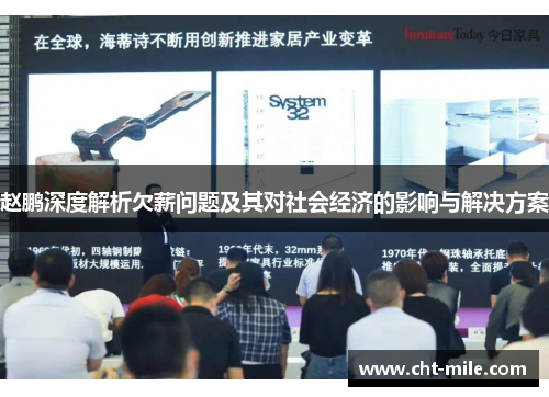 赵鹏深度解析欠薪问题及其对社会经济的影响与解决方案