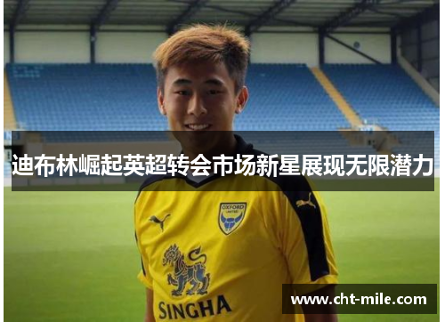 迪布林崛起英超转会市场新星展现无限潜力